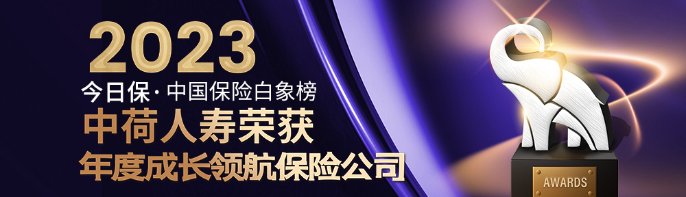 年度成长领航保险公司